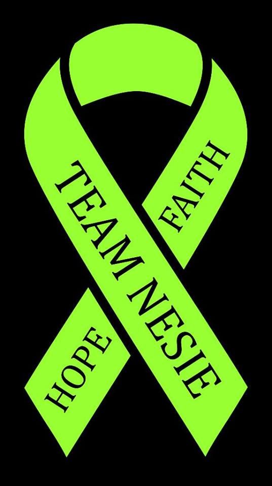 Welcome to Team Nesie's Fundraising Page